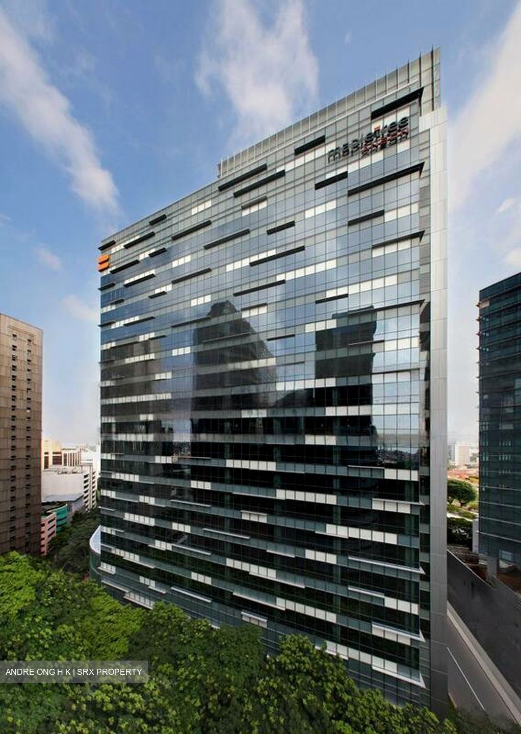 Mapletree Anson (D2), Office #508442321